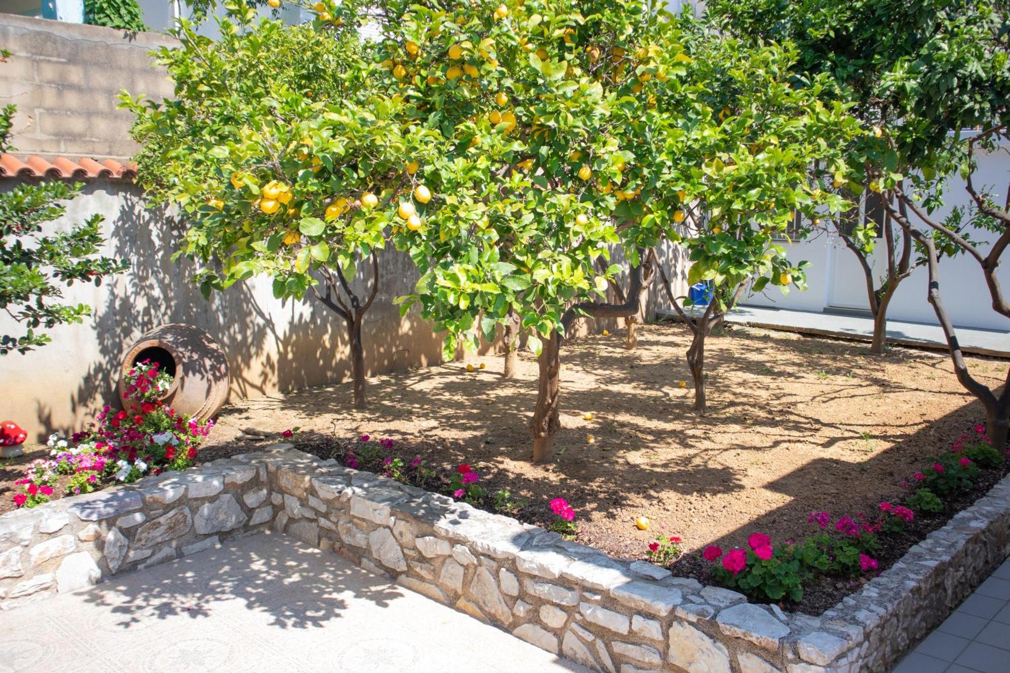 Athanasia Apartments Skiathos Exterior foto
